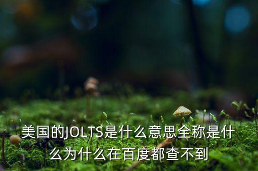 jolts職位空缺是什么，美國的JOLTS是什么意思全稱是什么為什么在百度都查不到