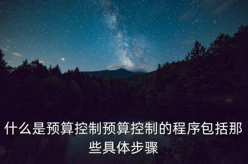 什么是預(yù)算控制預(yù)算控制的程序包括那些具體步驟