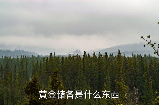 黃金儲(chǔ)備屬于金融的什么原理，黃金儲(chǔ)備是什么東西