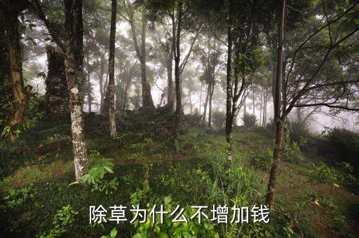 蒙草抗旱為什么不漲，和信園蒙草抗旱綠化公司怎么樣