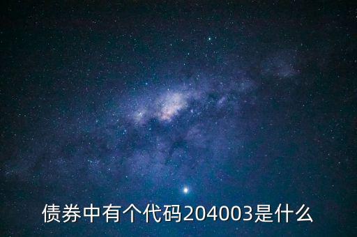 債券中有個代碼204003是什么