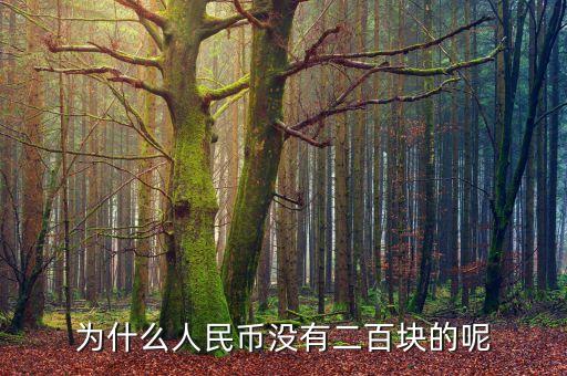 為什么沒有200元面額的人民幣，人民幣怎么沒有200元的