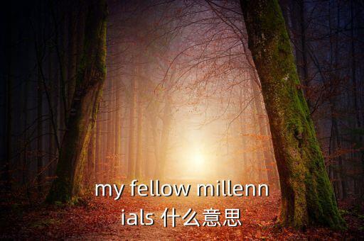 為什么叫千禧一代，my fellow millennials 什么意思