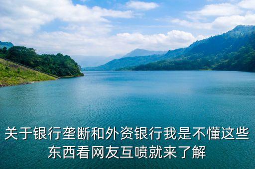 關(guān)于銀行壟斷和外資銀行我是不懂這些東西看網(wǎng)友互噴就來了解