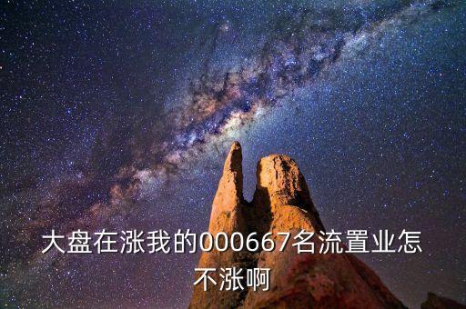 000667基金為什么不漲，大盤在漲我的000667名流置業(yè)怎不漲啊