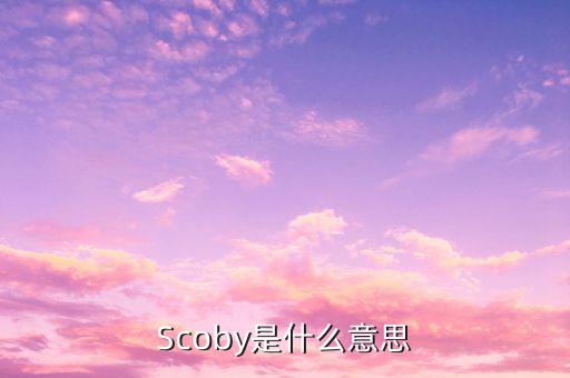 Scoby是什么意思