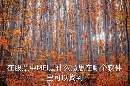 mfl什么意思金融，在股票中MFl是什么意思在哪個軟件里可以找到