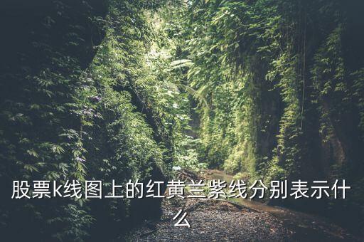 股票k線圖上的紅黃蘭紫線分別表示什么