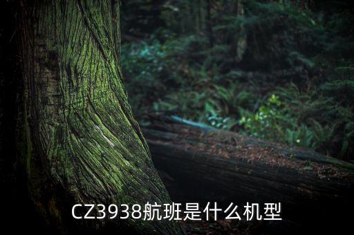 CZ3938航班是什么機型