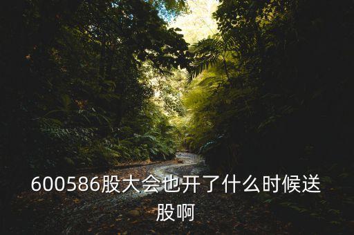 600586股大會(huì)也開了什么時(shí)候送股啊