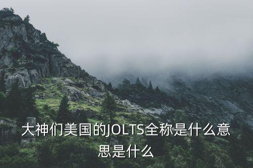 大神們美國的JOLTS全稱是什么意思是什么