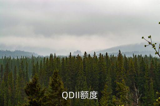 QDII額度