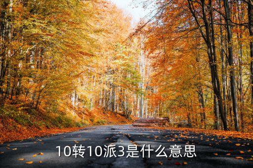 10轉(zhuǎn)10派3是什么意思