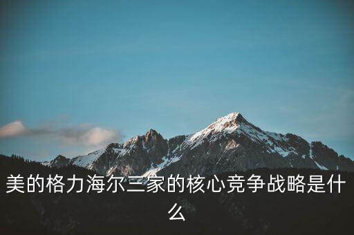 美的電器的戰(zhàn)略是什么，美的集團成本領(lǐng)先戰(zhàn)略組織結(jié)構(gòu)是什么意思