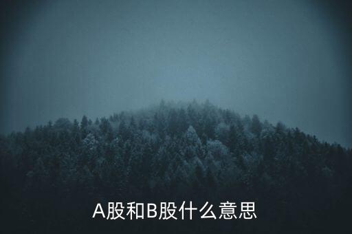 什么叫a股什么叫b股，A股和B股什么意思