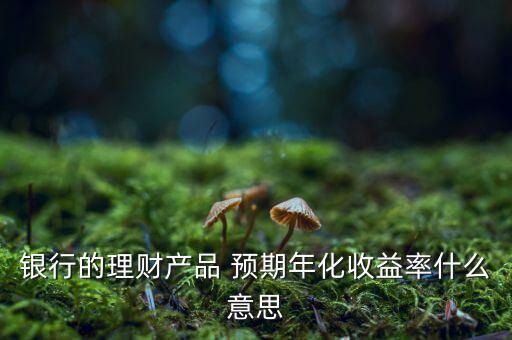 銀行的理財產(chǎn)品 預期年化收益率什么意思