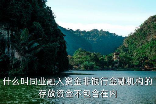 什么叫同業(yè)融入資金非銀行金融機構(gòu)的存放資金不包含在內(nèi)