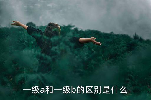 借貸寶a級和b級到底有什么區(qū)別，一級a和一級b的區(qū)別是什么