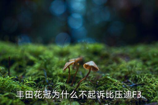 豐田花冠為什么不起訴比壓迪F3