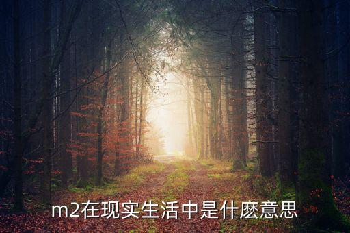 m2在現(xiàn)實(shí)生活中是什麼意思