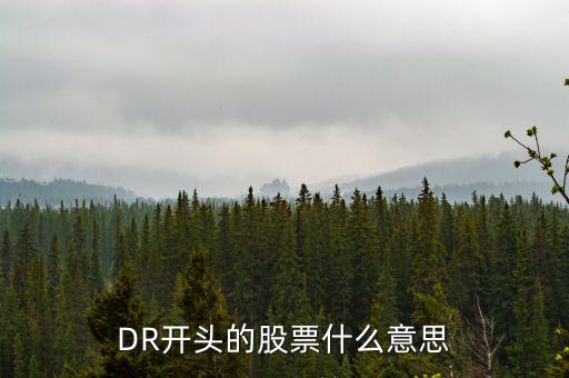 DR開(kāi)頭的股票什么意思