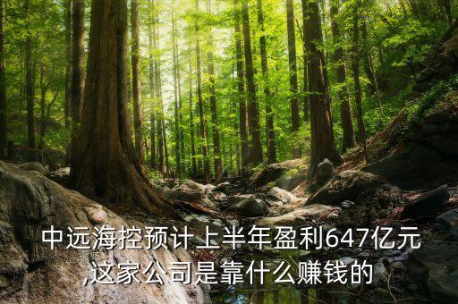  中遠?？仡A(yù)計上半年盈利647億元,這家公司是靠什么賺錢的