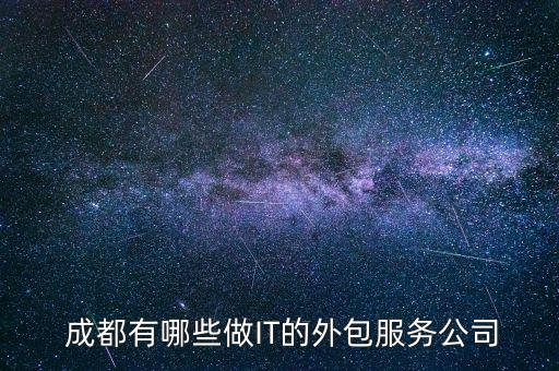  成都有哪些做IT的外包服務(wù)公司