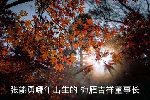 張能勇哪年出生的 梅雁吉祥董事長(zhǎng)