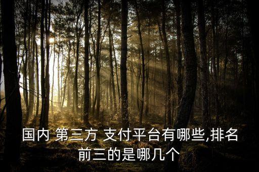 第三方支付公司有幾家,中國有多少家第三方支付公司