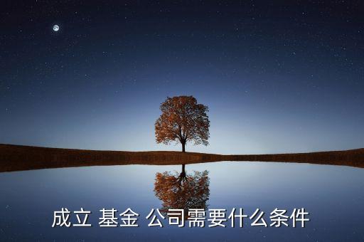 成立 基金 公司需要什么條件