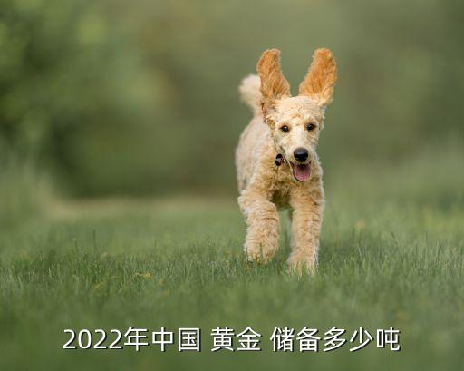 2022年中國 黃金 儲(chǔ)備多少噸