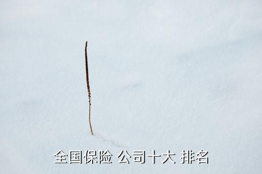 全國保險(xiǎn) 公司十大 排名