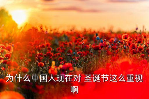 為什么中國人現(xiàn)在對(duì) 圣誕節(jié)這么重視啊