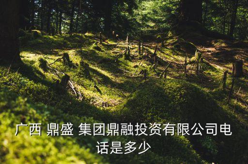 鼎盛集團(tuán)舟山衢山投資工程