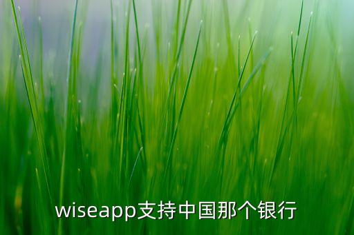 wiseapp支持中國那個(gè)銀行