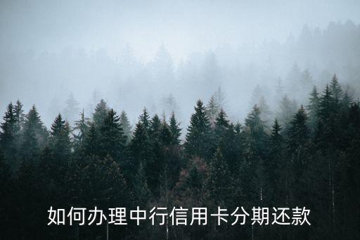 如何辦理中行信用卡分期還款