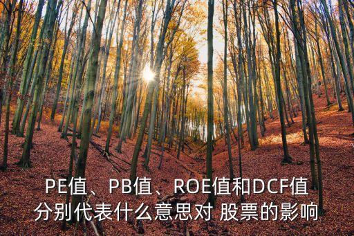 PE值、PB值、ROE值和DCF值分別代表什么意思對(duì) 股票的影響