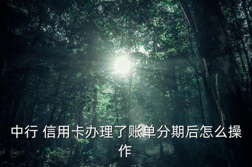 中行 信用卡辦理了賬單分期后怎么操作