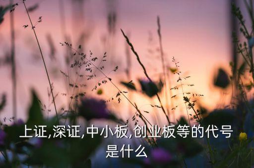 上證,深證,中小板,創(chuàng)業(yè)板等的代號(hào)是什么