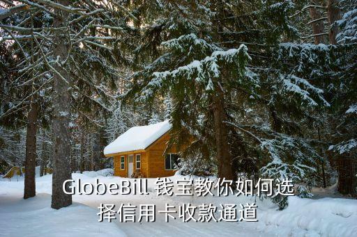 GlobeBill 錢寶教你如何選擇信用卡收款通道