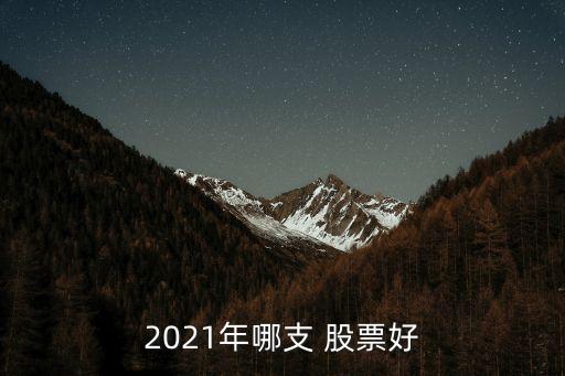 2021年哪支 股票好