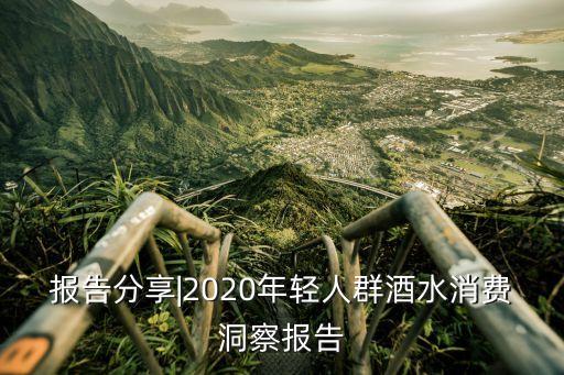 報告分享|2020年輕人群酒水消費洞察報告