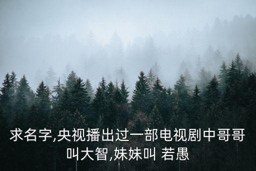 求名字,央視播出過(guò)一部電視劇中哥哥叫大智,妹妹叫 若愚