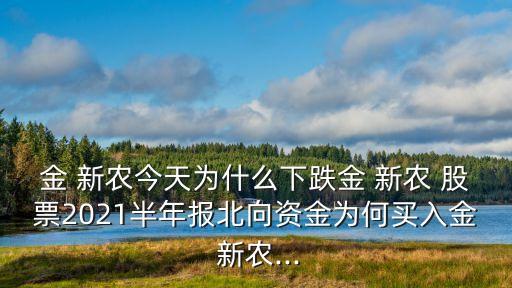 金 新農(nóng)今天為什么下跌金 新農(nóng) 股票2021半年報(bào)北向資金為何買入金 新農(nóng)...