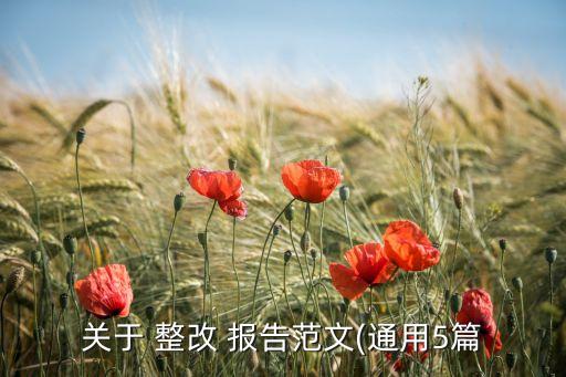 公司網(wǎng)站整改報告,年報、公司報告及公司網(wǎng)站