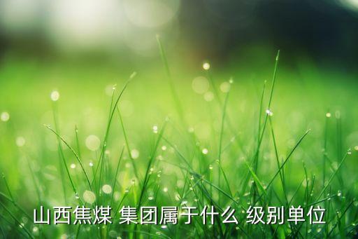 沈煤集團(tuán)是什么級別,北京京煤集團(tuán)是什么級別