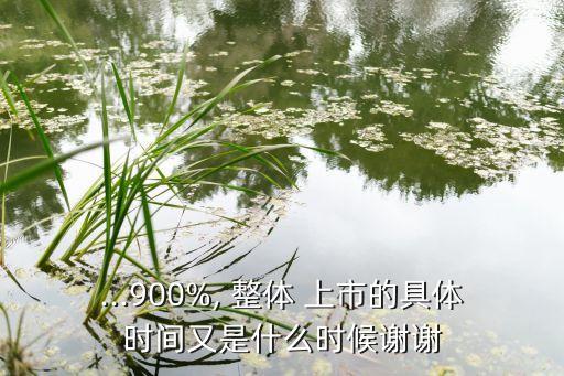 ...900%, 整體 上市的具體時間又是什么時候謝謝