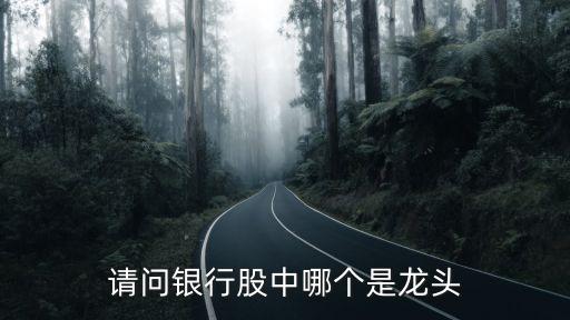 請(qǐng)問銀行股中哪個(gè)是龍頭