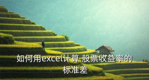 如何用excel計(jì)算 股票收益率的 標(biāo)準(zhǔn)差