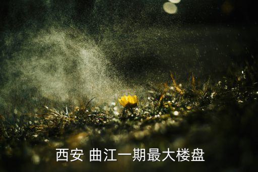 西安曲江華平置業(yè)有限公司